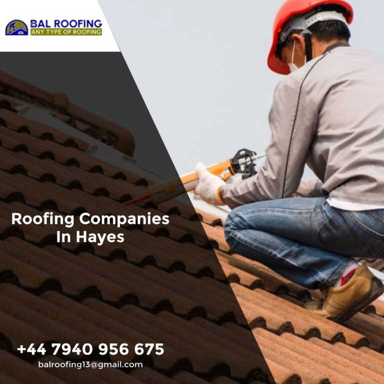 Roofing and Loft Conversion Services in Hayes